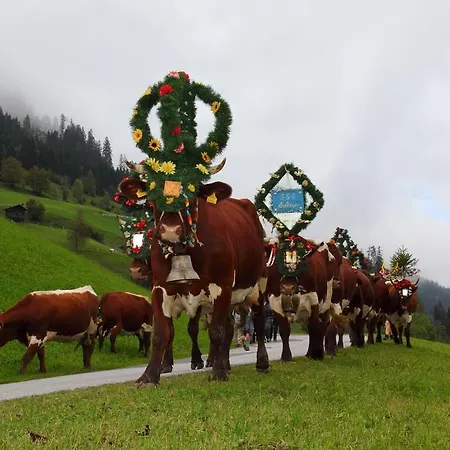 Zirbenchalet Eggriedl Dom wakacyjny Grossarl