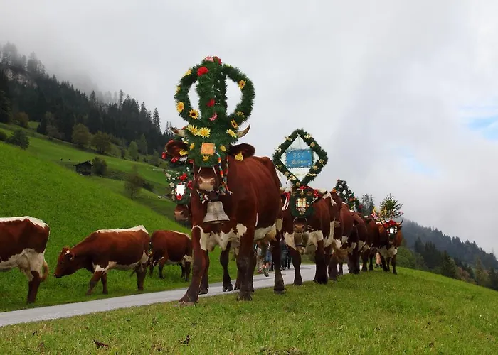Zirbenchalet Eggriedl Hébergement de vacances Grossarl